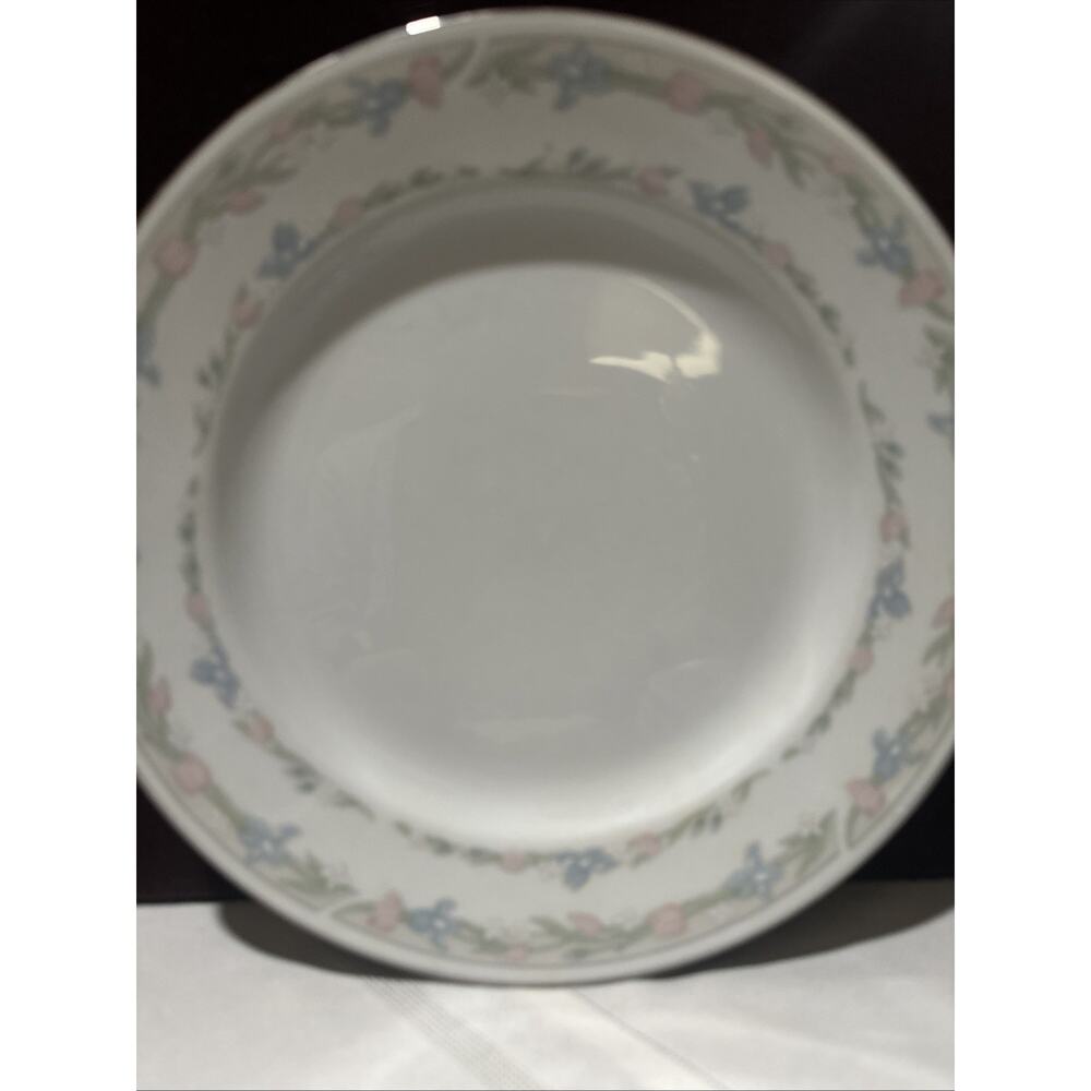 Excel Illusions Reprise 2 Rings Pastel Flowers Platinum Trimmed 4 Dinner Plates